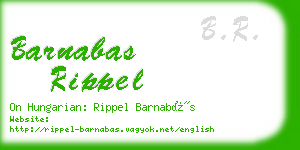 barnabas rippel business card